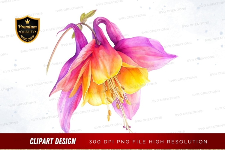 Vibrant fuchsia flower