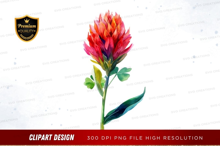 Wildflower Illustration Image 23