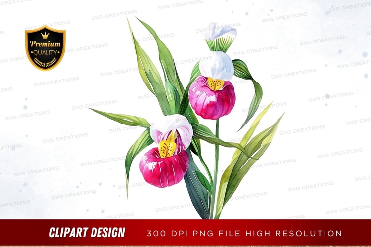 Orchid Clipart Image 11