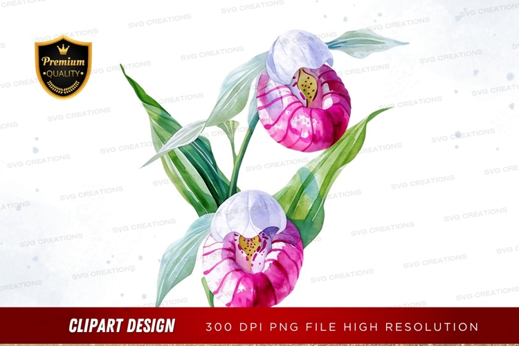 Orchid Png Image 5