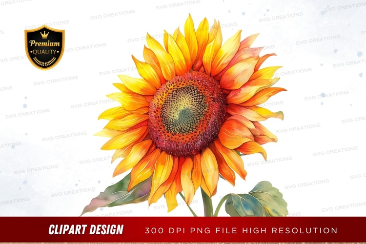 Sunflower Clipart Image 24