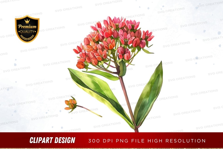 Red Flower Png Image 9