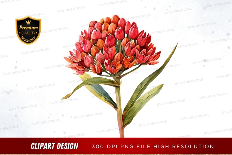 Vibrant tulip bouquet clipart png