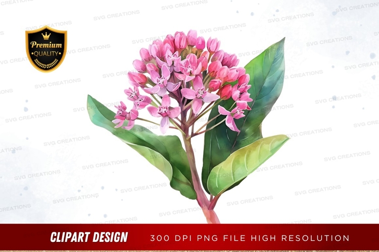 Transparent Background Flower Clipart Image 15