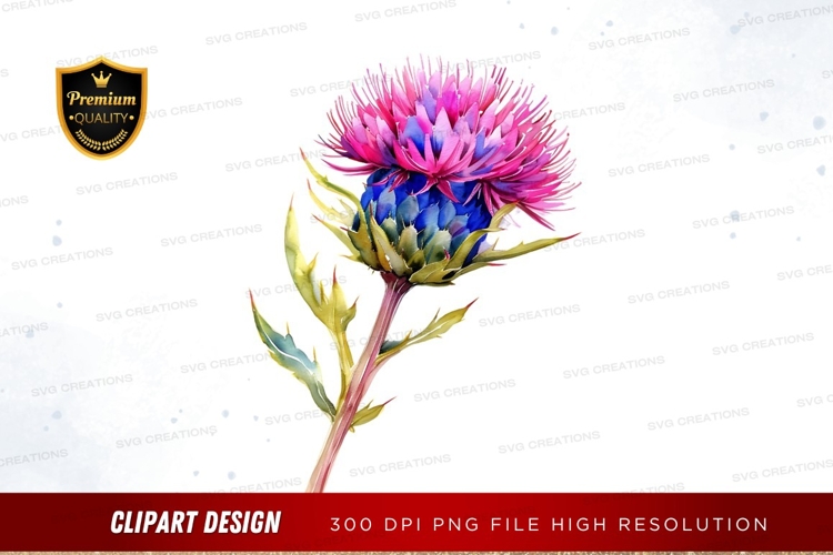 Vibrant thistle flower