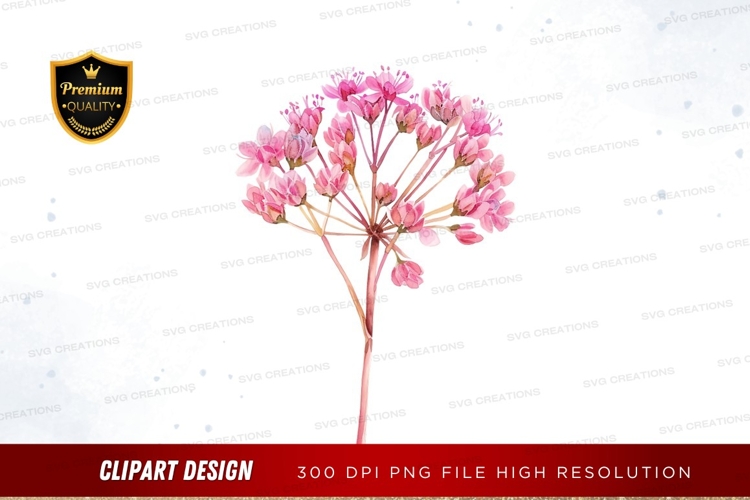 Delicate pink blossoms clipart png