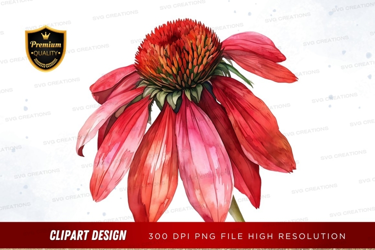 Red Flower Png Image 7