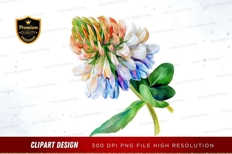Colorful bouquet of flowers