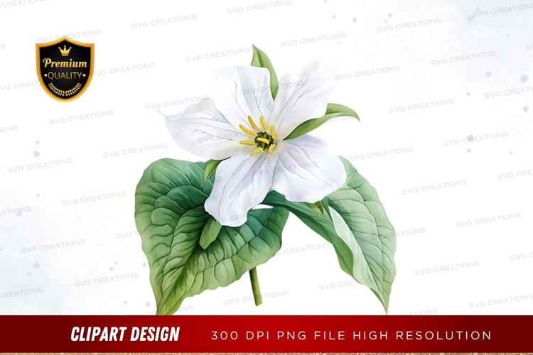 Transparent Background Flower Clipart Image 11