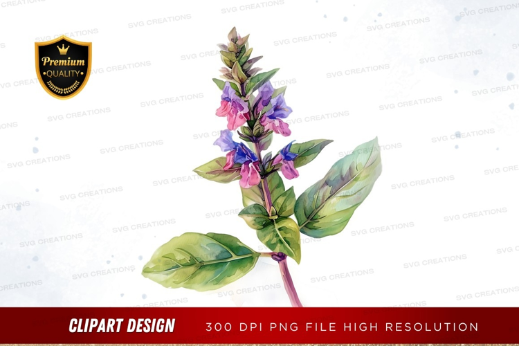 Watercolor illustration of a flowering plant