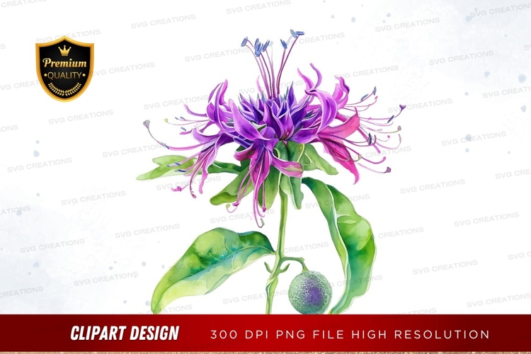 Flower Clipart Image 3