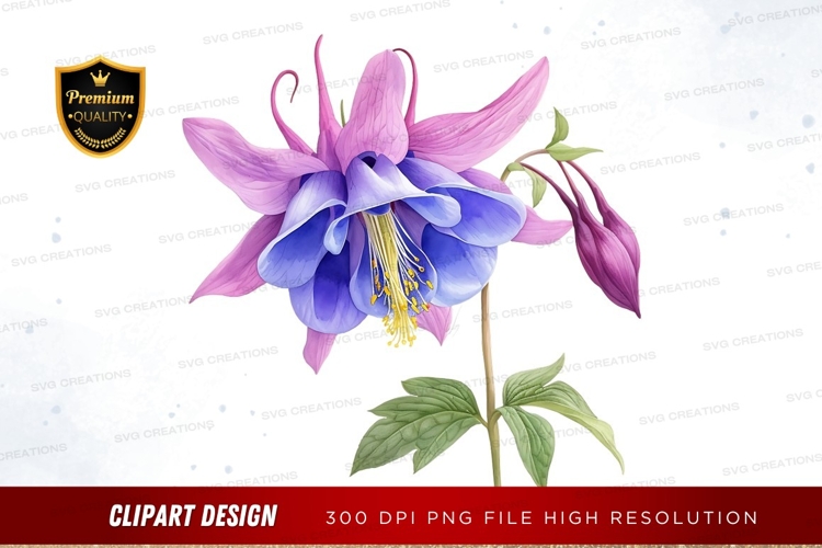 Beautiful Clipart Image 5