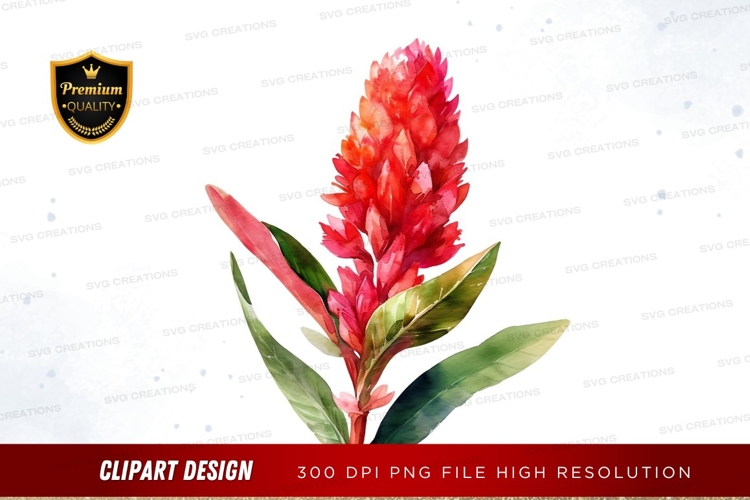 Vibrant red ginger flower clipart png