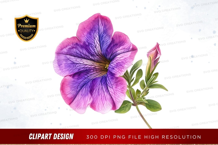 Beautiful petunia flower clipart png