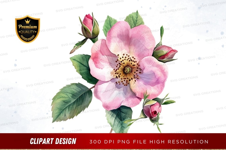 Pink Rose Clipart Image 8