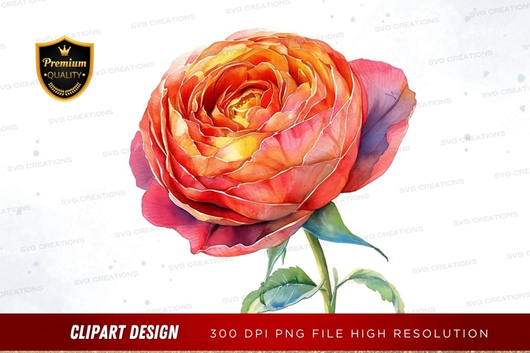 Purple Rose Png Image 9