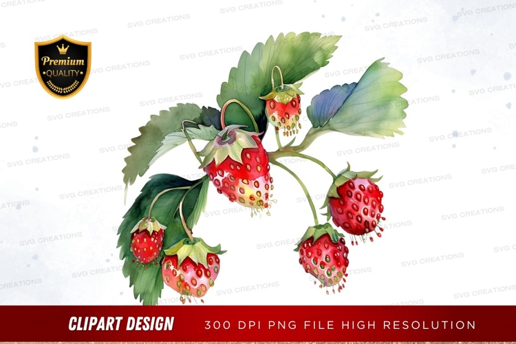 Strawberry Illustration Image 13