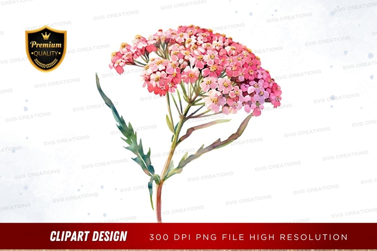 Pink Flower Png Image 17