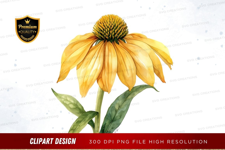 Yellow coneflower