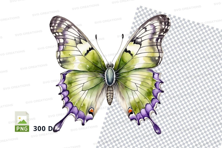 Wing Clipart Image 7