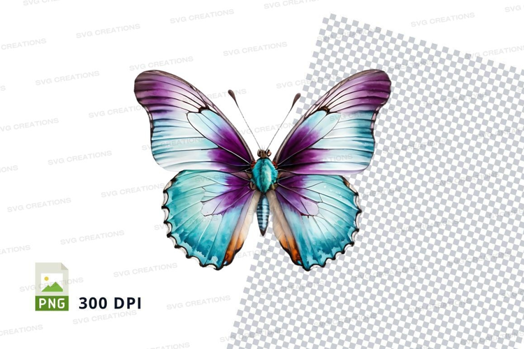 Beautiful blue and purple butterfly