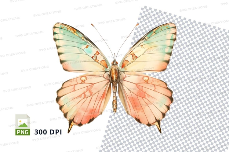 Elegant butterfly clipart png