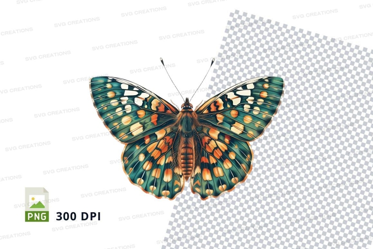 Beautiful Clipart Image 15