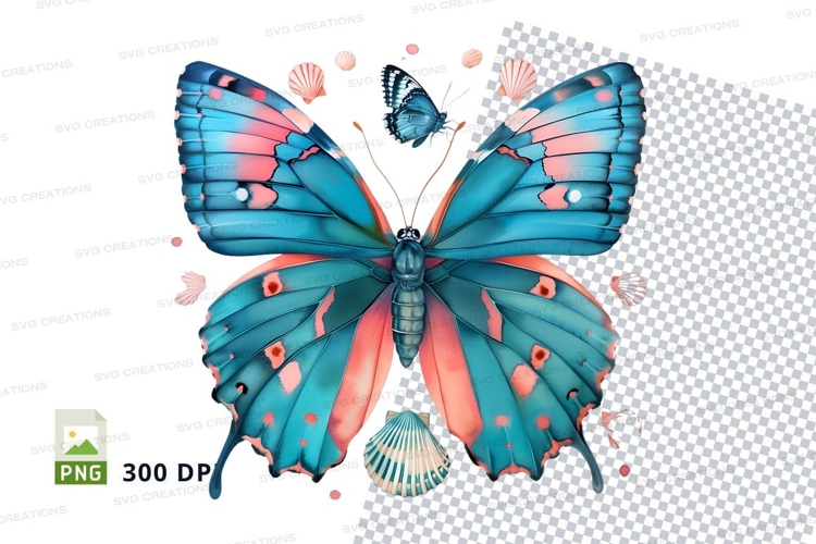 Seashells Png Image 6