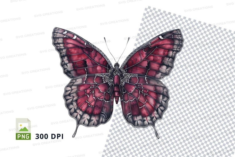 Nature Illustration Image 11