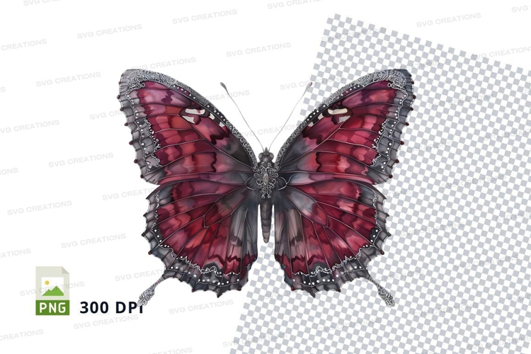 Nature Illustration Image 10