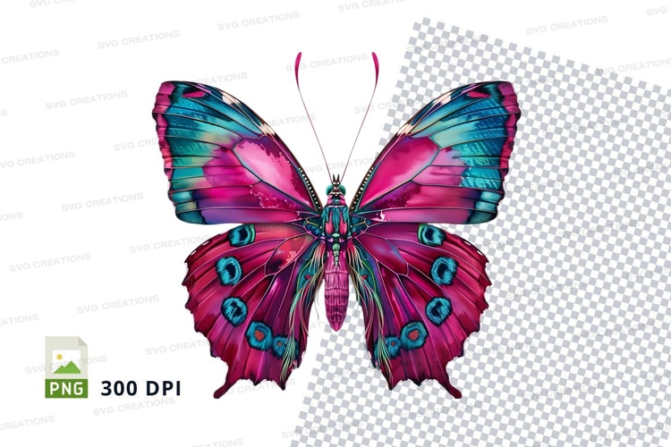 Vibrant butterfly clipart png