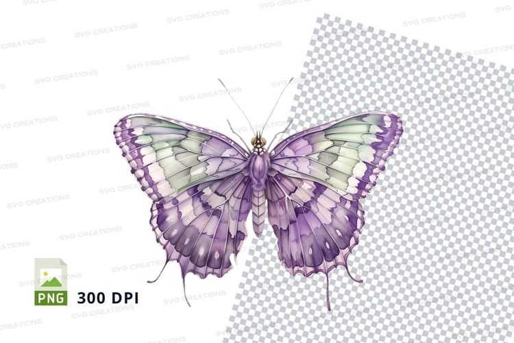 Insect Clipart Image 3