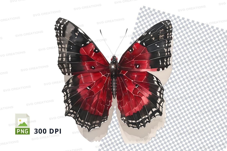 Insect Clipart Image 22