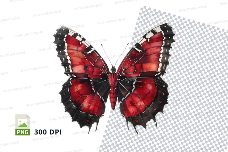 Wings Png Image 9