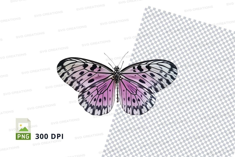 Insect Clipart Image 10