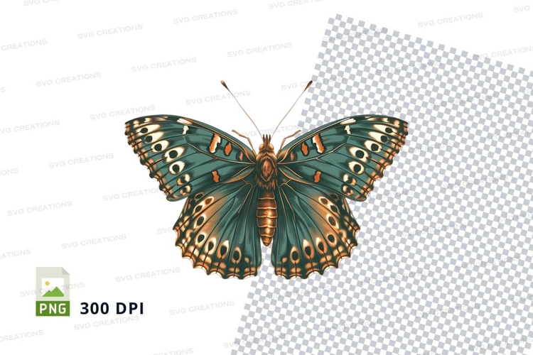 Insect Clipart Image 3