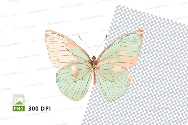 Transparent Background Butterfly Clipart Image 5