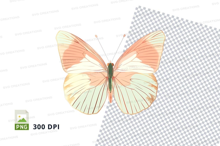 Transparent Background Butterfly Clipart Image 4