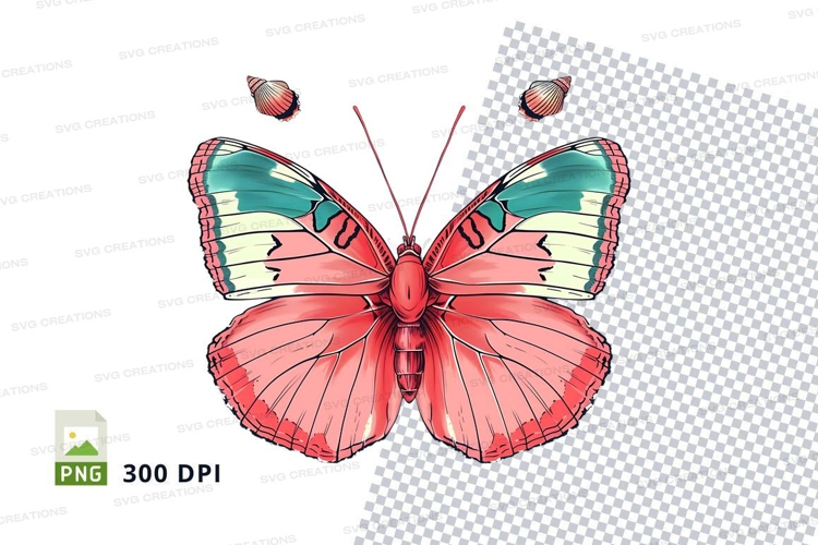 Seashells Clipart Image 16