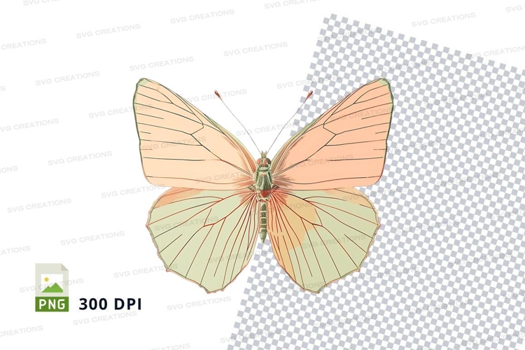 Wing Clipart Image 18