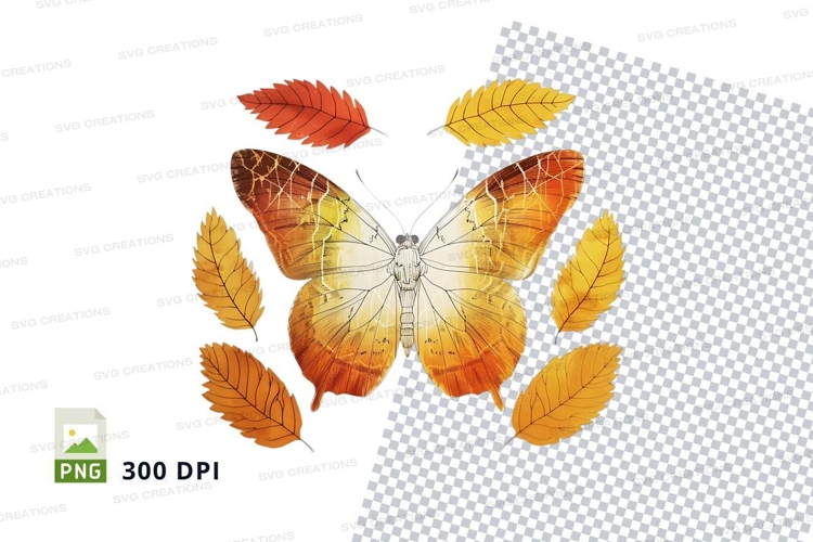 Autumn butterfly with leaves