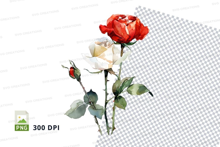 White Rose Clipart Image 19