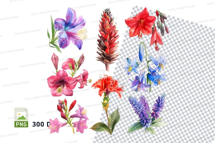 Beautiful flower clipart png