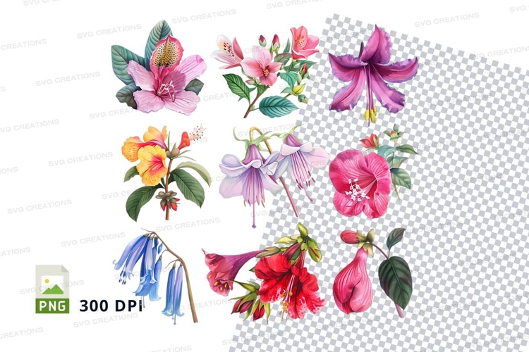 Beautiful Clipart Image 10