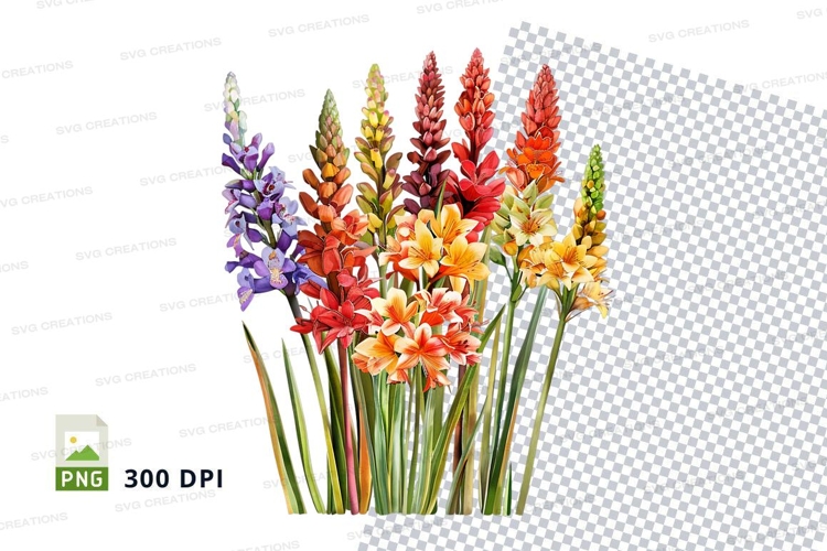 Transparent Background Flower Clipart Image 21