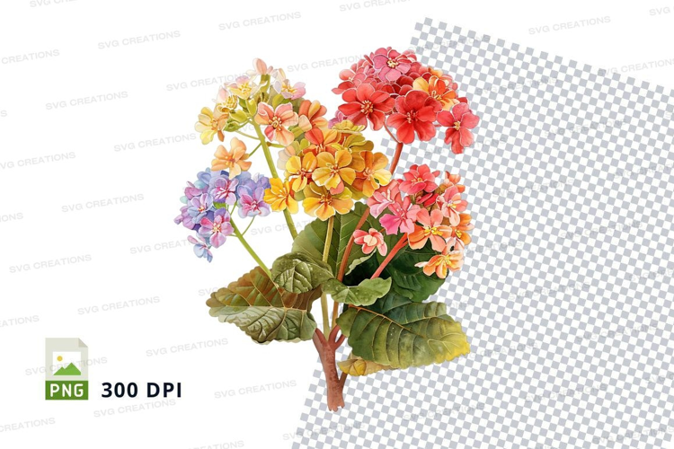 Colorful bouquet of flowers