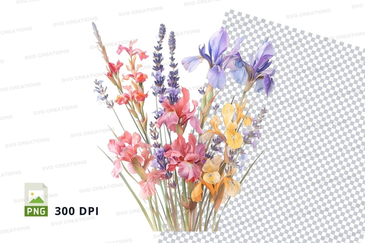 Iris Clipart Image 5