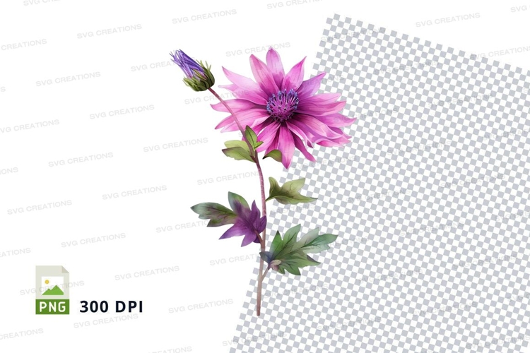 Beautiful Clipart Image 18