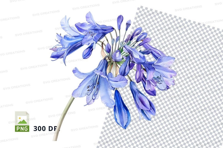 Transparent Background Flower Clipart Image 17
