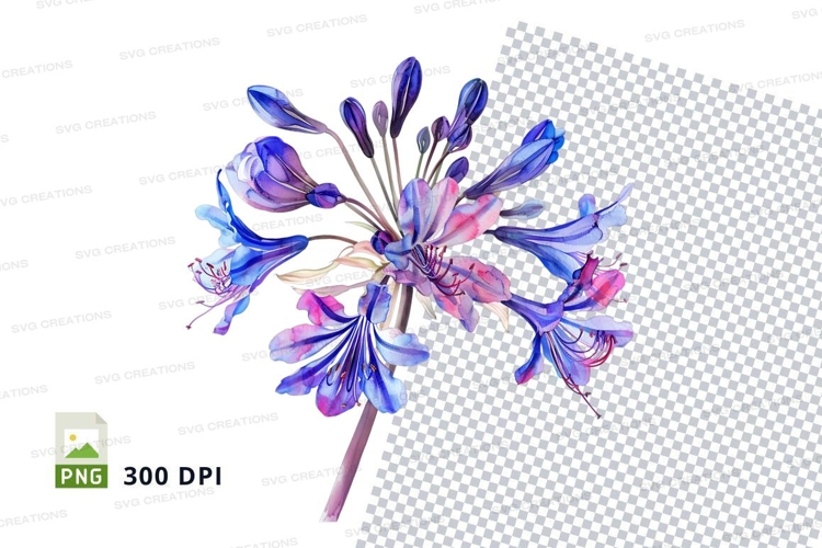 Transparent Background Flower Clipart Image 16
